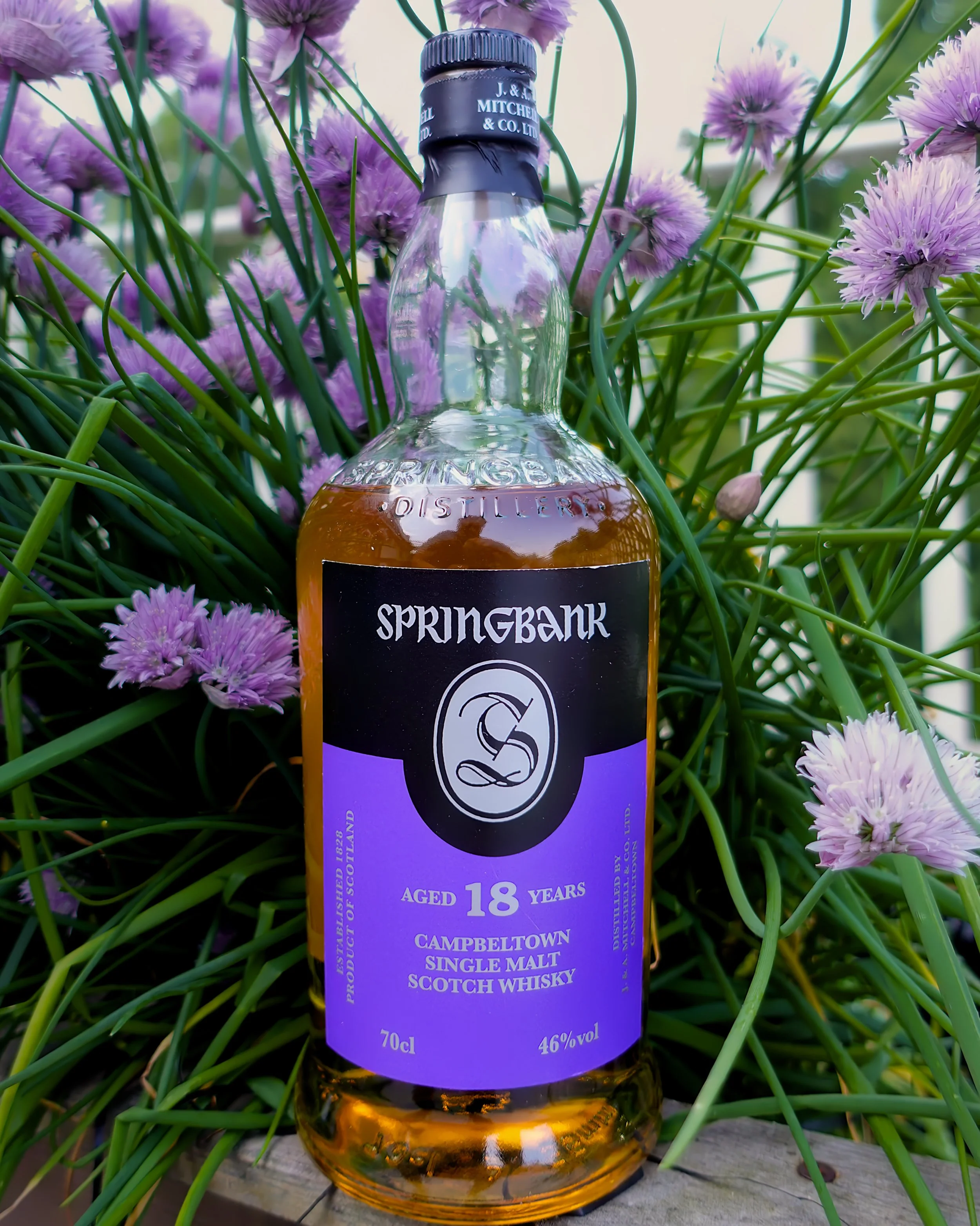 Springbank 18yo 2024 Release — Dramface